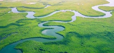 Uisciúcháin Talmhaíochta a Réabhlóidiú: Ról Píopaí agus Feisteas PVC